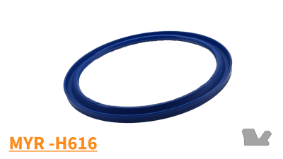 MYR-H616
